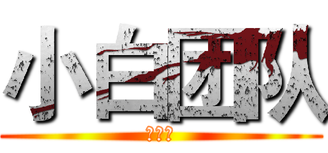 小白团队 (达龙云)