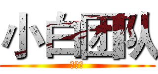 小白团队 (达龙云)