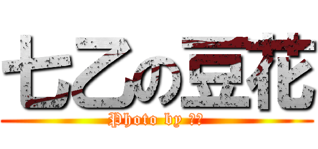 七乙の豆花 (Photo by 豆花)