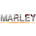 ＭＡＲＬＥＹ (Shingeki no Discord)