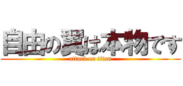 自由の翼は本物です (attack on titan)
