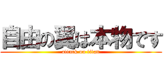自由の翼は本物です (attack on titan)