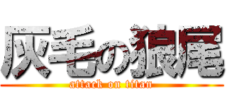 灰毛の狼尾 (attack on titan)