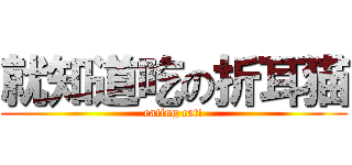 就知道吃の折耳猫 (eating cat!)