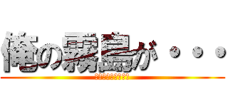 俺の霧島が・・・ (もうマジ無理･･･)