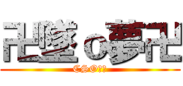 卍墜ｏ夢卍 (CSO狂人)