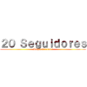 ２０ Ｓｅｇｕｉｄｏｒｅｓ (Muchas Gracias!!!)