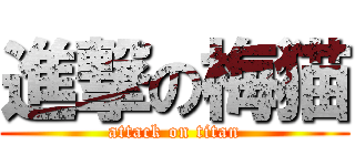 進撃の梅猫 (attack on titan)