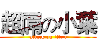 超屌の小葉 (attack on titan)