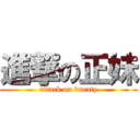 進撃の正妹 (attack on bueaty)