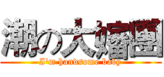 潮の大嬸團 (I'm handsome baby)