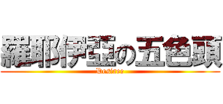 羅耶伊亞の五色頭 (Desiree)