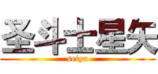 圣斗士星矢 (seiya)