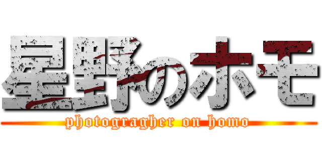 星野のホモ (photogragher on homo)