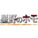 星野のホモ (photogragher on homo)