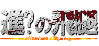 進擊の飛腿 (attack on fly leg)