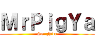 ＭｒＰｉｇＹａ (So  Nice)