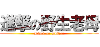 進撃の野生老母 (attack on mother)