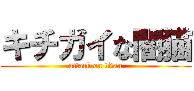 キチガイな闇猫 (attack on titan)