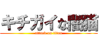 キチガイな闇猫 (attack on titan)