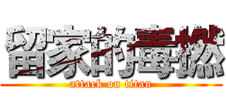 留家的毒撚 (attack on titan)