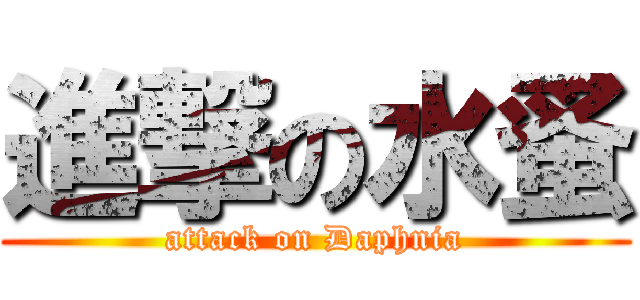 進撃の水蚤 (attack on Daphnia)