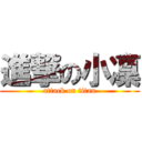 進撃の小凜 (attack on titan)