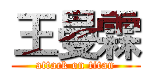 王曼霖 (attack on titan)