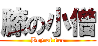 膝の小僧 (Boy of nee)