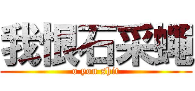 我恨石采蠅 (o you shit)