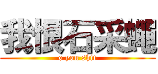 我恨石采蠅 (o you shit)