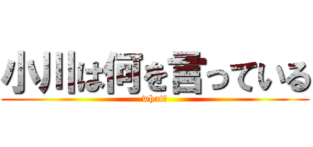 小川は何を言っている (what?)