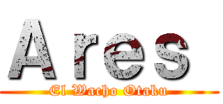 Ａｒｅｓ  (El Wacho Otaku)