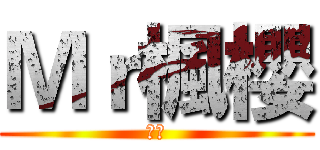 Ｍｒ楓櫻 (訂閱)