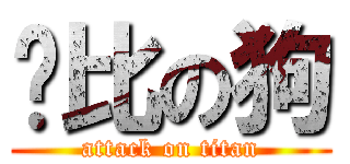 爱比の狗 (attack on titan)