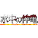 水中の仲亀 (attack on titan)