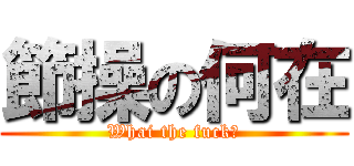 節操の何在 (Whai the fuck？)