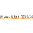 Ｍｕｓｃｕｌａｒ Ｓｙｓｔｅｍ (筋肉系)