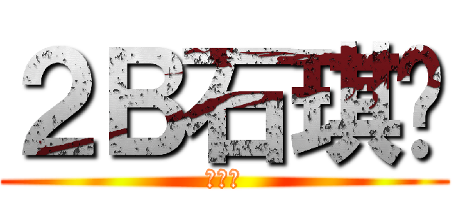 ２Ｂ石琪铖 (机械班)