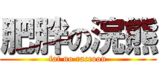 肥胖の浣熊 (fat no raccoon)