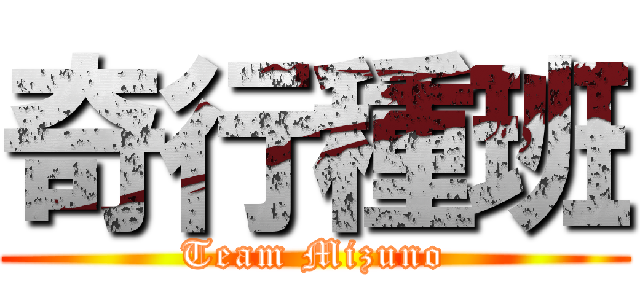 奇行種班 (Team Mizuno)