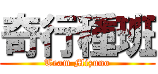 奇行種班 (Team Mizuno)