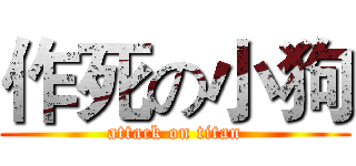 作死の小狗 (attack on titan)
