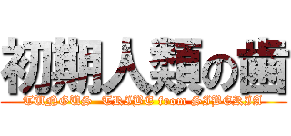 初期人類の歯 (TUNGUS  TRIBE from SIBERIA)