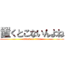 置くとこないんよね (attack on titan)