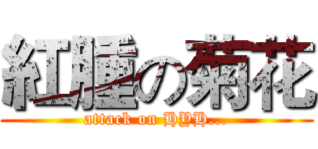 紅腫の菊花 (attack on HYH...)