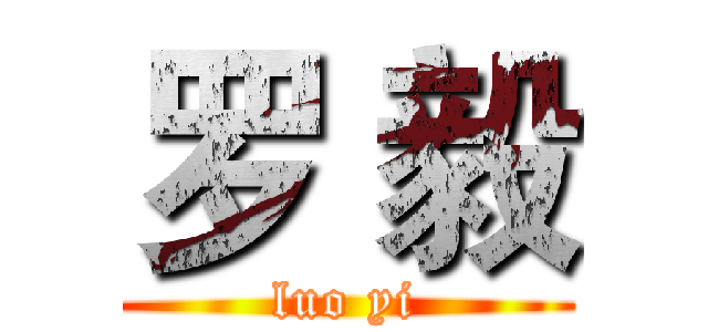 罗 毅 (luo yi)