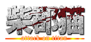 柴郡猫 (attack on titan)