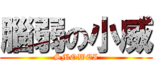 腦弱の小威 (SMOWEI)