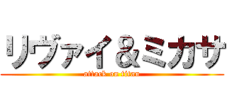 リヴァイ＆ミカサ (attack on titan)